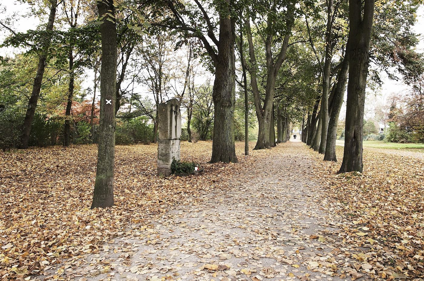 Herbstliche Allee auf der Münsteraner Promenade mit Laub auf dem Weg